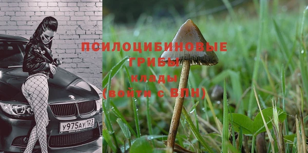 гашик Аркадак