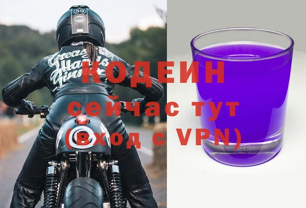гашик Аркадак