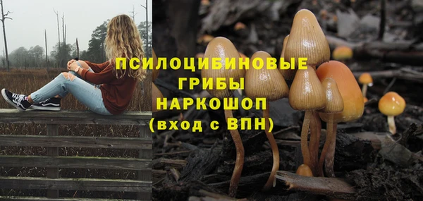 гашик Аркадак
