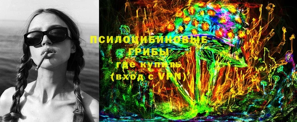 гашик Аркадак